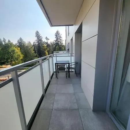 Apartment Duzy W Centrum - 3 - Garaz