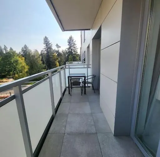 Apartment Duzy W Centrum - 3 - Garaz